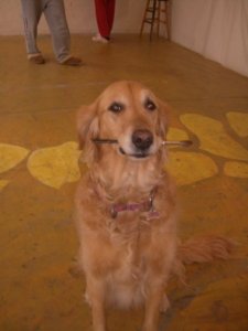 7122_1093615235449_1678593816_184363_6893684_n