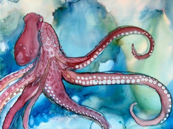 octopus.jpg