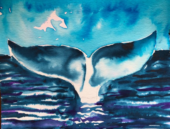 whale-tail.jpg